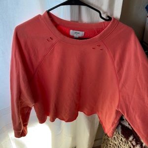 Aerie cropped sweatshirt